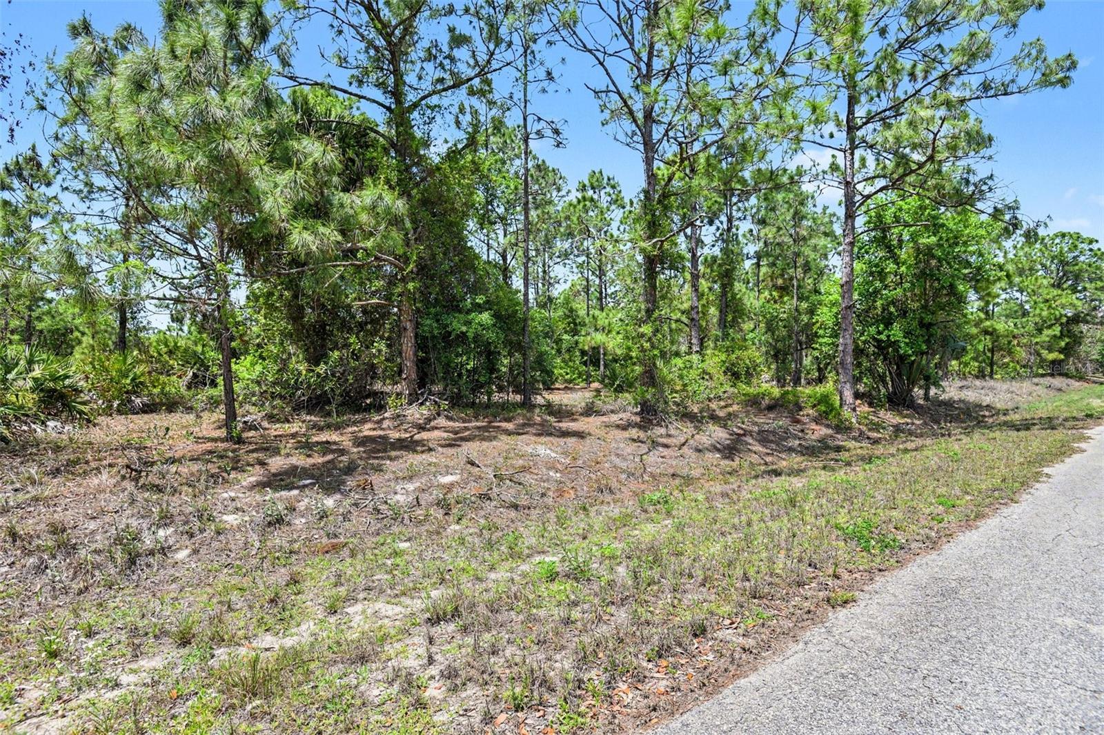 403 WELLINGTON AVE, LEHIGH ACRES, FL, 33972