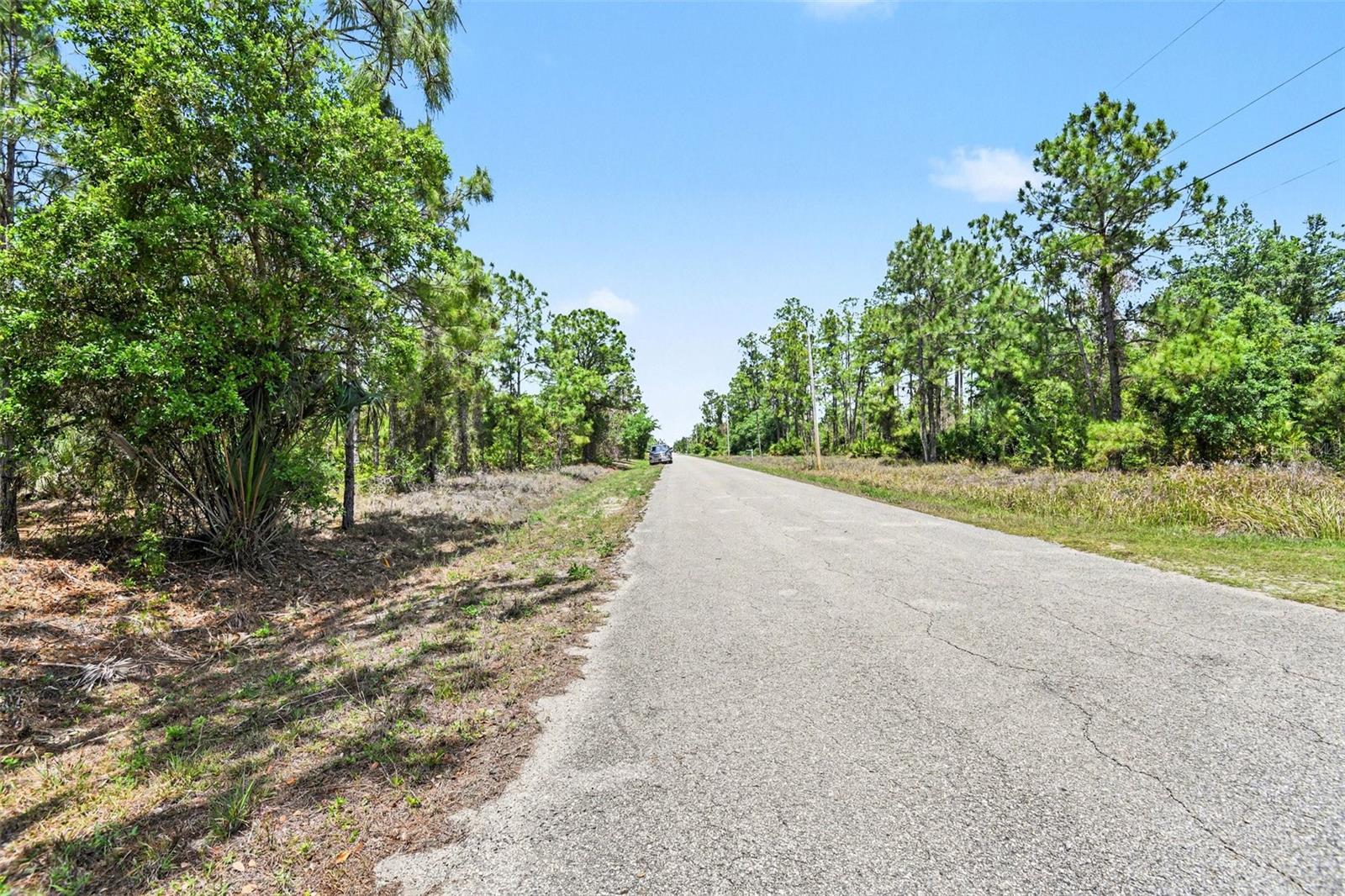 403 WELLINGTON AVE, LEHIGH ACRES, FL, 33972