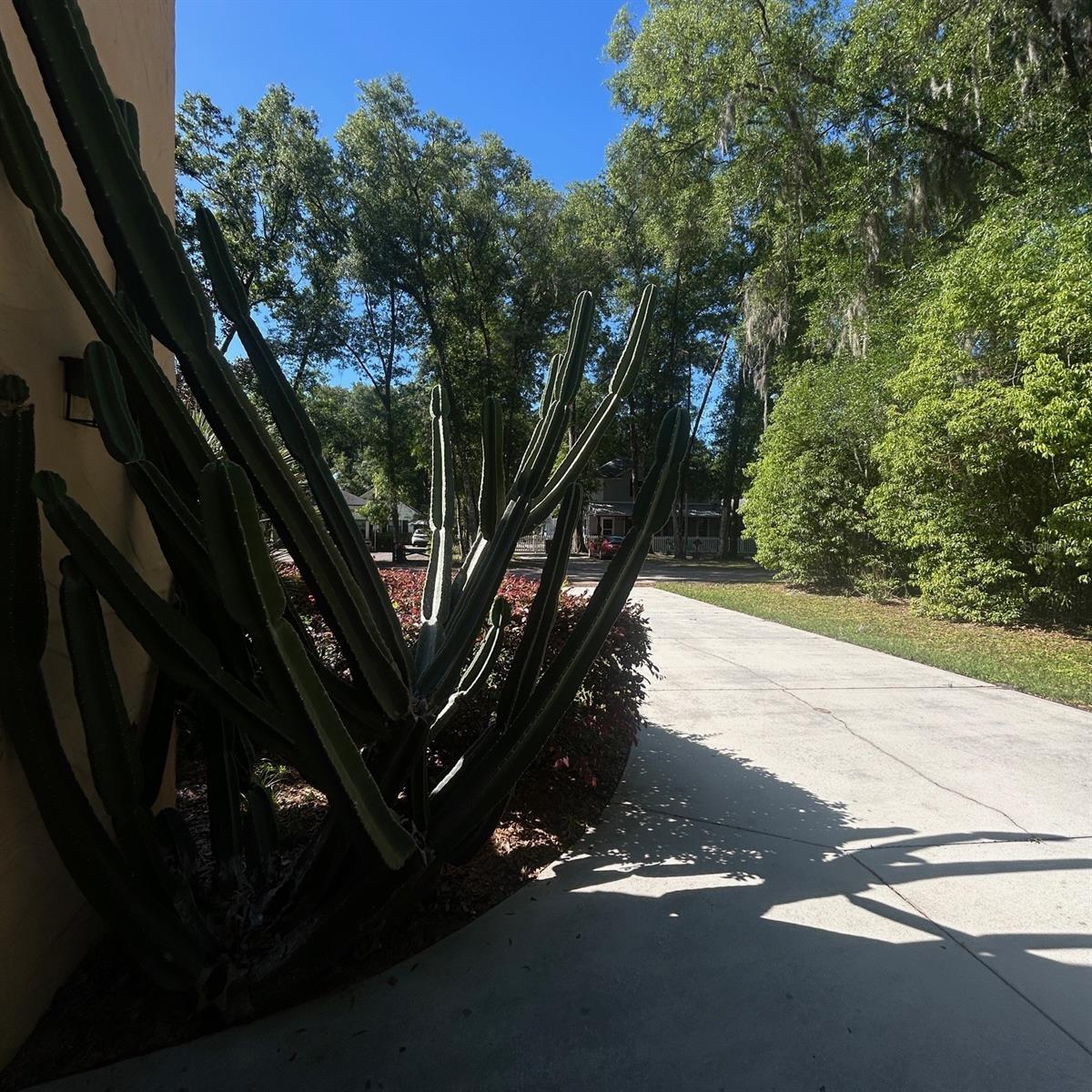 250 GARDEN ST, LAKE HELEN, FL, 32744