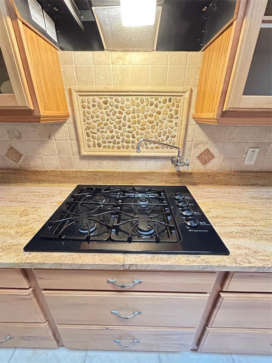 250 GARDEN ST, LAKE HELEN, FL, 32744