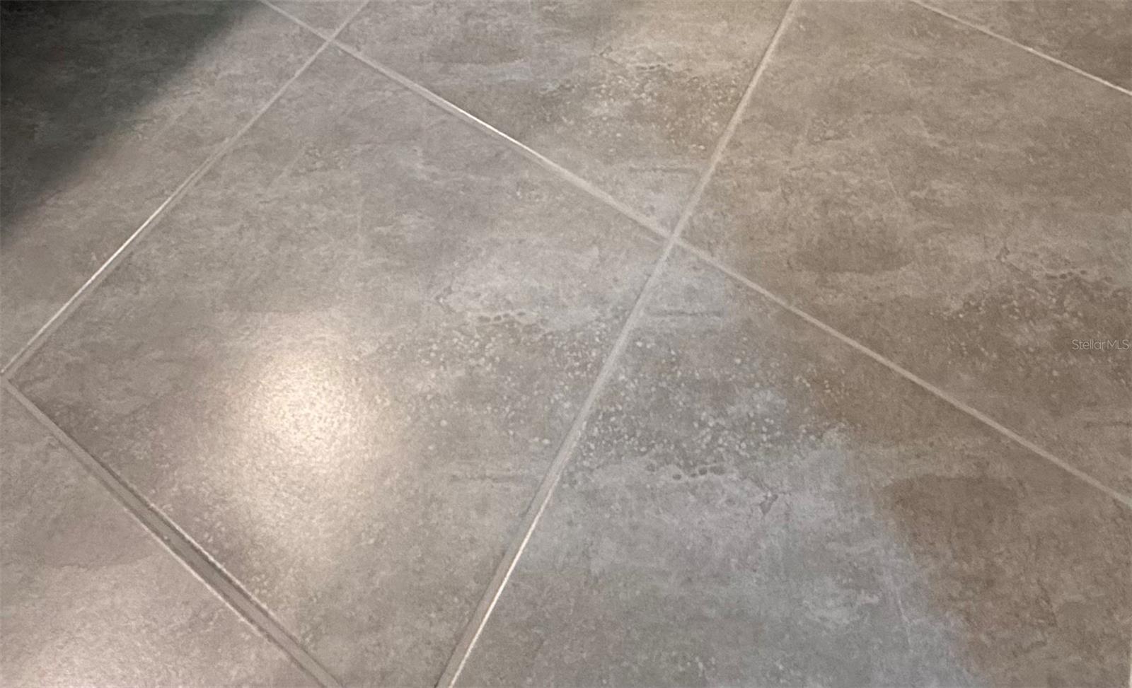 1631 BITTEROOT ST, KISSIMMEE, FL, 34744