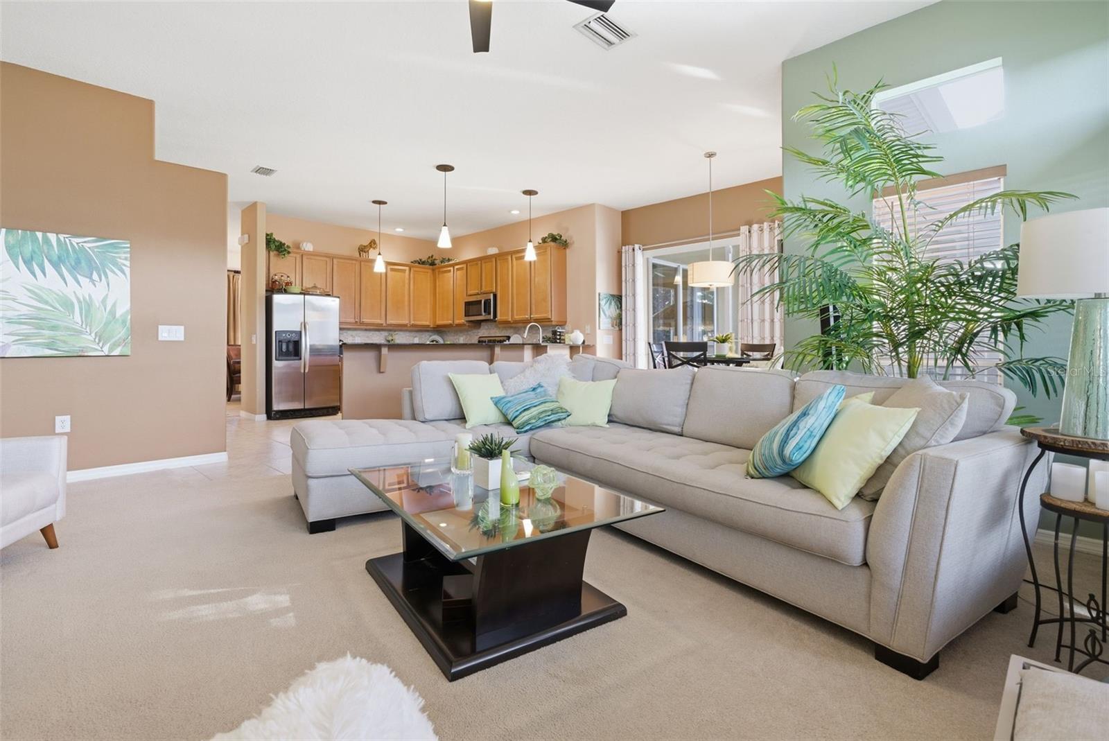 3730 GAVIOTA DR, SUN CITY CENTER, FL, 33573