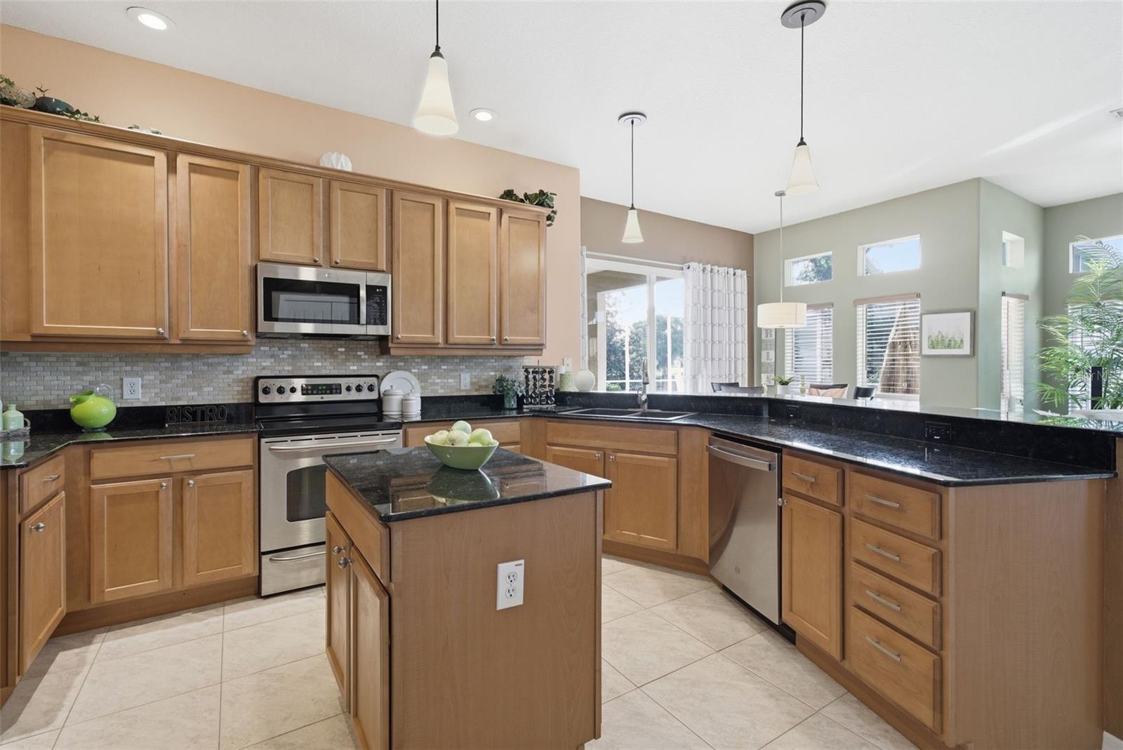 3730 GAVIOTA DR, SUN CITY CENTER, FL, 33573