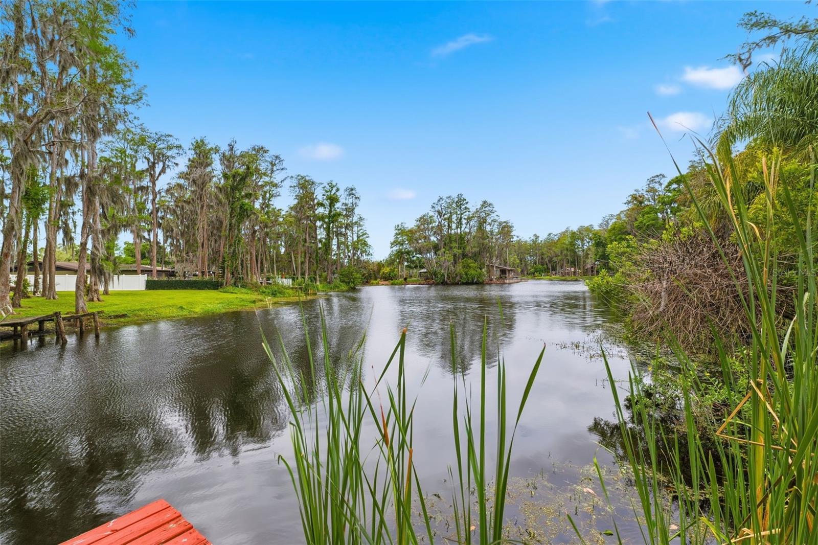 19003 CEDAR LN, LUTZ, FL, 33548