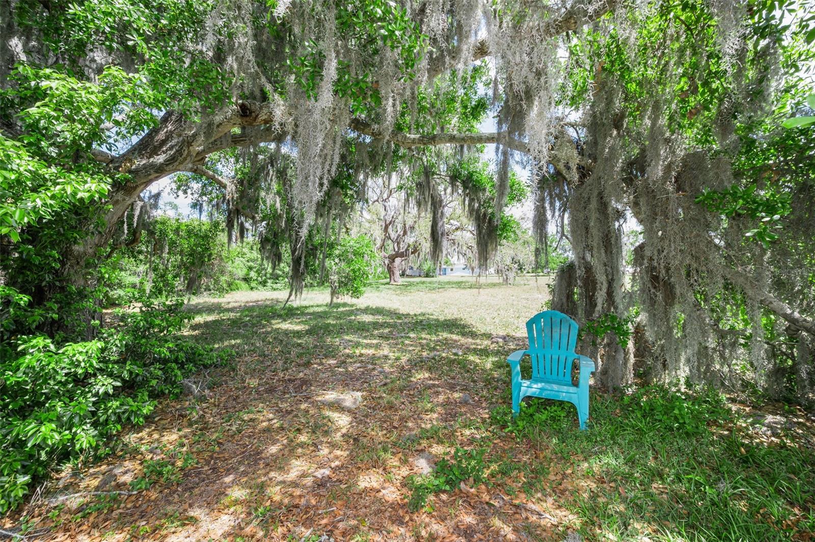 FLOTILLA, HOLIDAY, FL, 34690