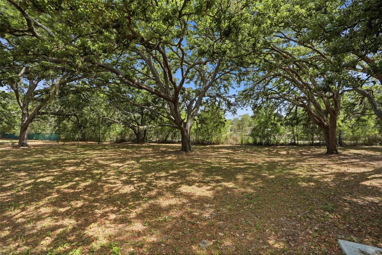 15620 HAYS RD, SPRING HILL, FL, 34610