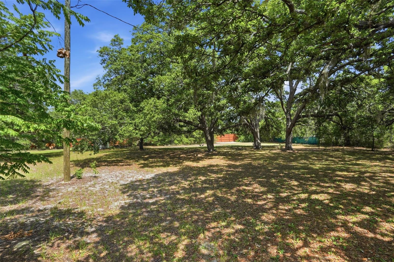 15620 HAYS RD, SPRING HILL, FL, 34610