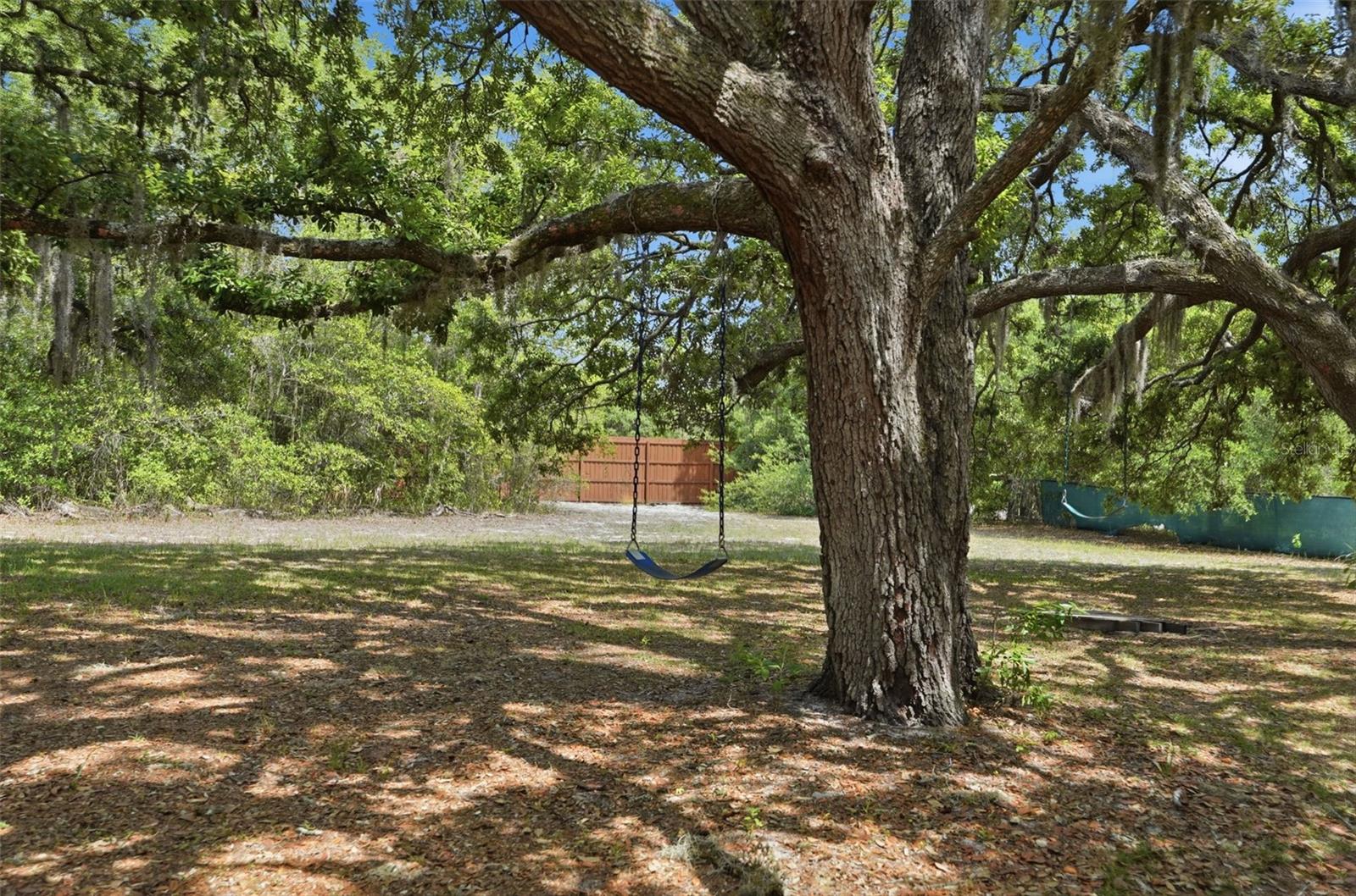 15620 HAYS RD, SPRING HILL, FL, 34610