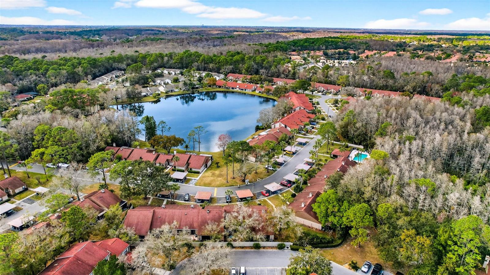 BROOKHAVEN, PALM HARBOR, FL, 34685