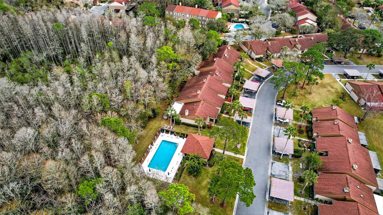 BROOKHAVEN, PALM HARBOR, FL, 34685