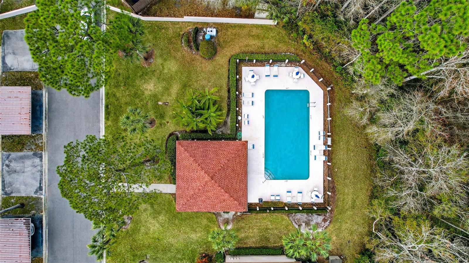 BROOKHAVEN, PALM HARBOR, FL, 34685