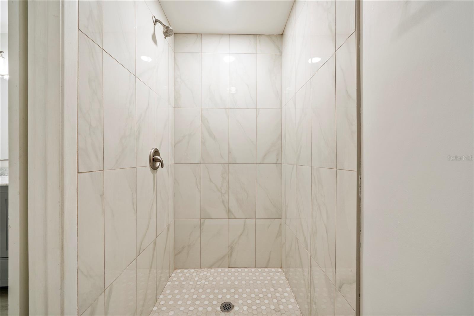 10403 LAKE CARROLL WAY, TAMPA, FL, 33618