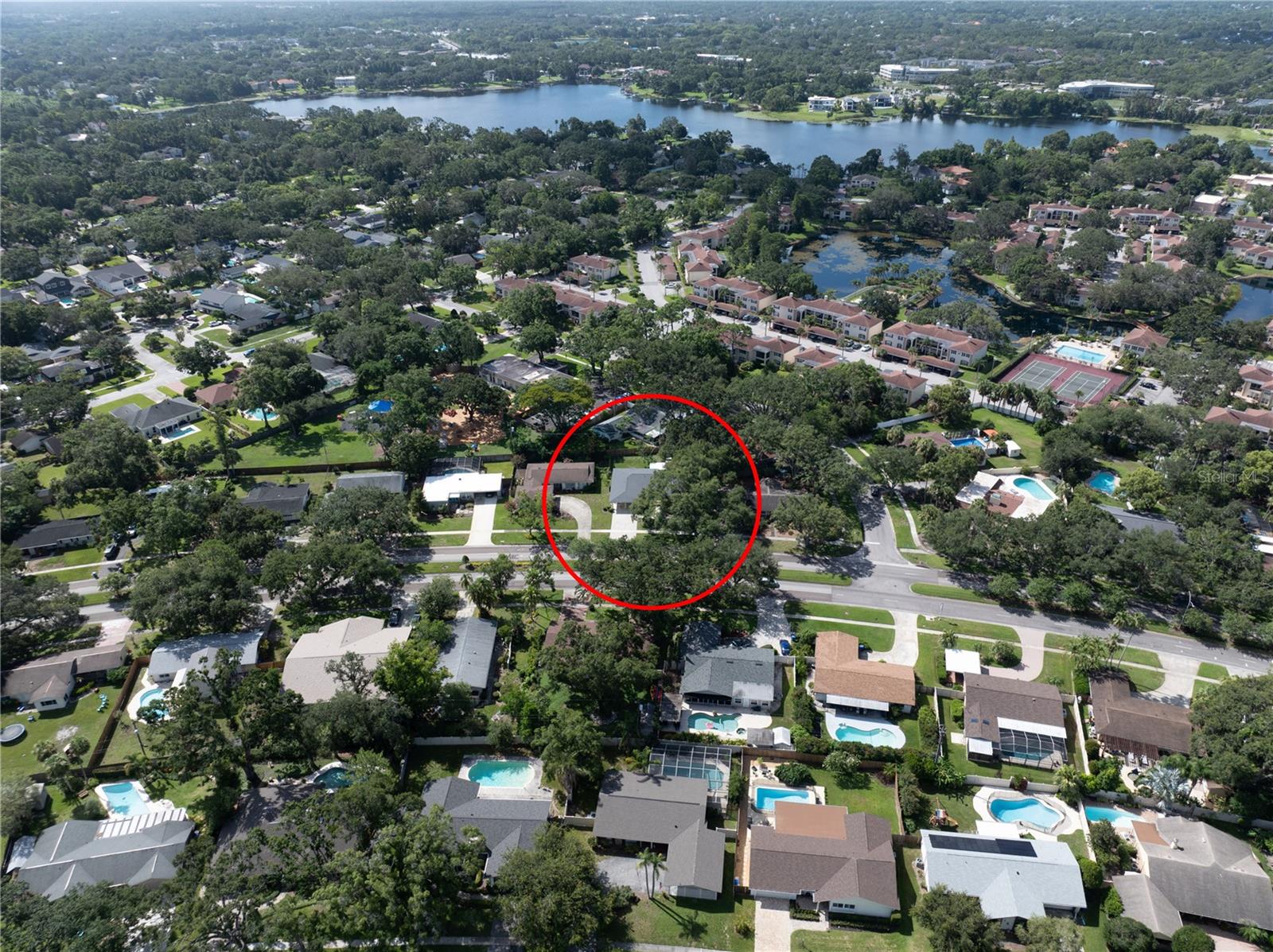 10403 LAKE CARROLL WAY, TAMPA, FL, 33618