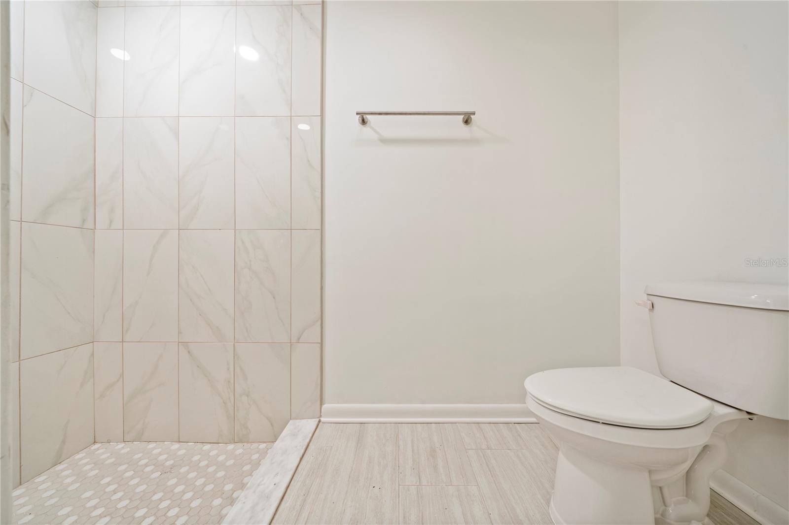 10403 LAKE CARROLL WAY, TAMPA, FL, 33618