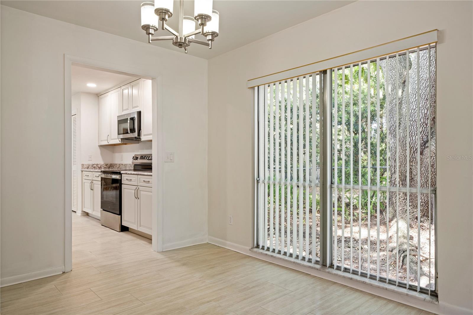 10403 LAKE CARROLL WAY, TAMPA, FL, 33618