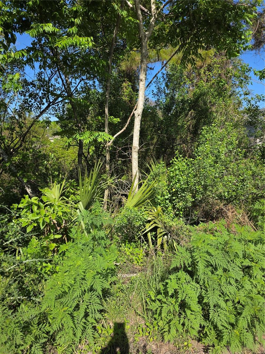 226 WALNUT AVE, ORANGE CITY, FL, 32763