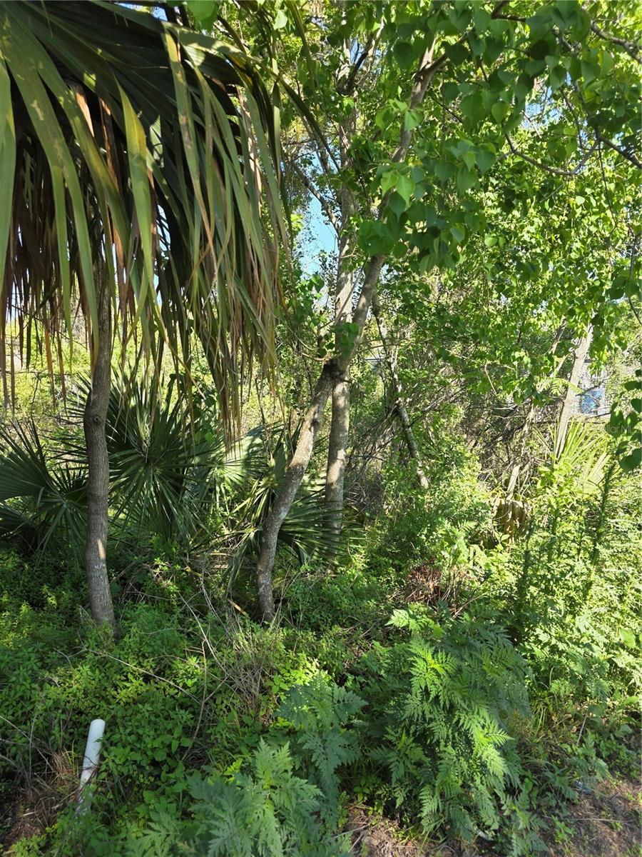 226 WALNUT AVE, ORANGE CITY, FL, 32763