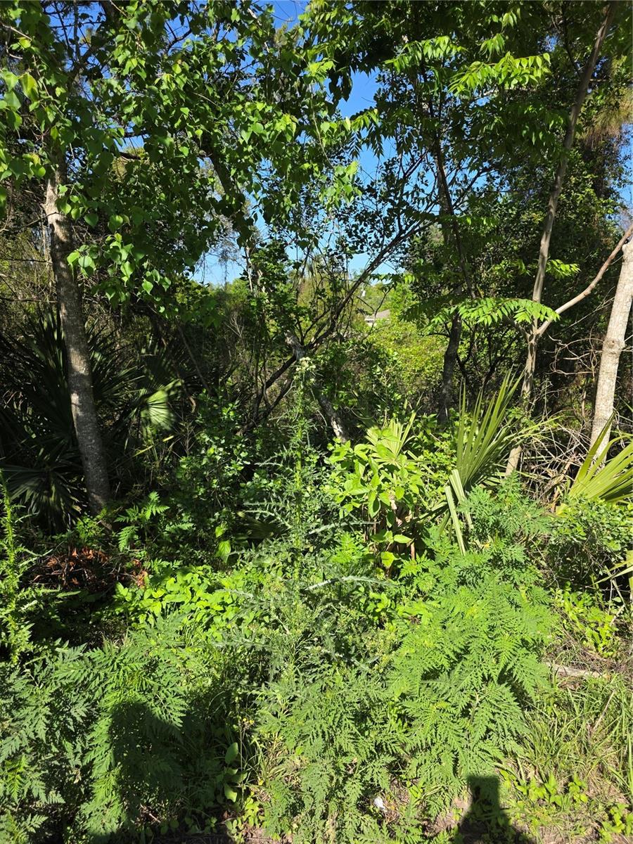 226 WALNUT AVE, ORANGE CITY, FL, 32763