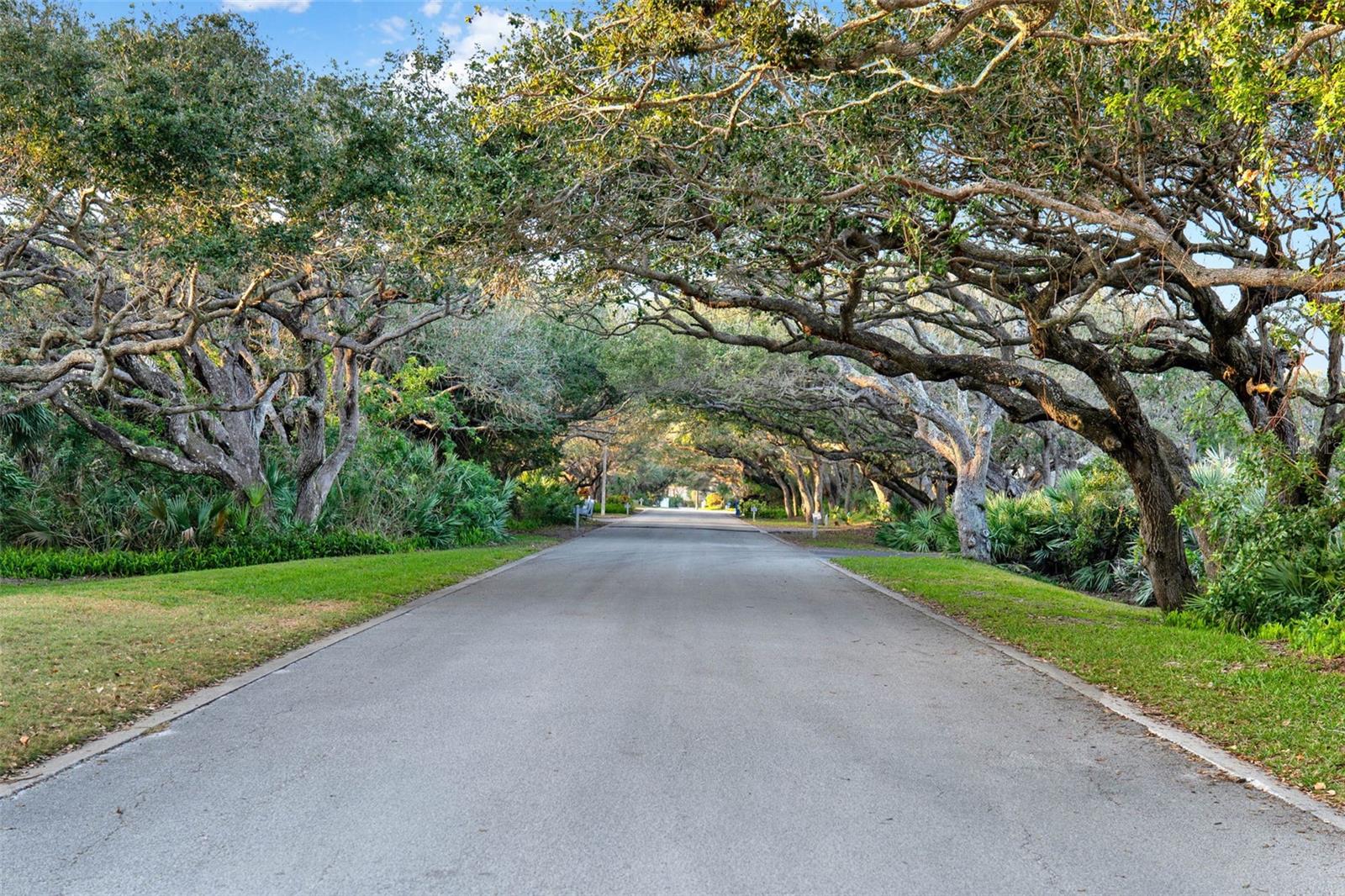 4405 SEA MIST DR #216, NEW SMYRNA BEACH, FL, 32169