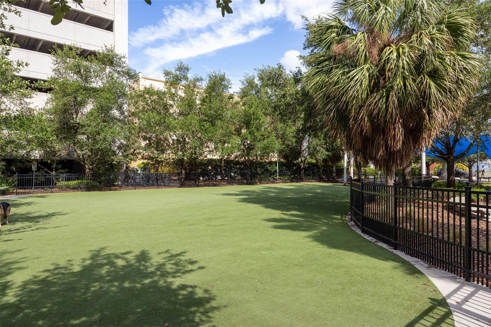 111 N 12TH ST #1707, TAMPA, FL, 33602