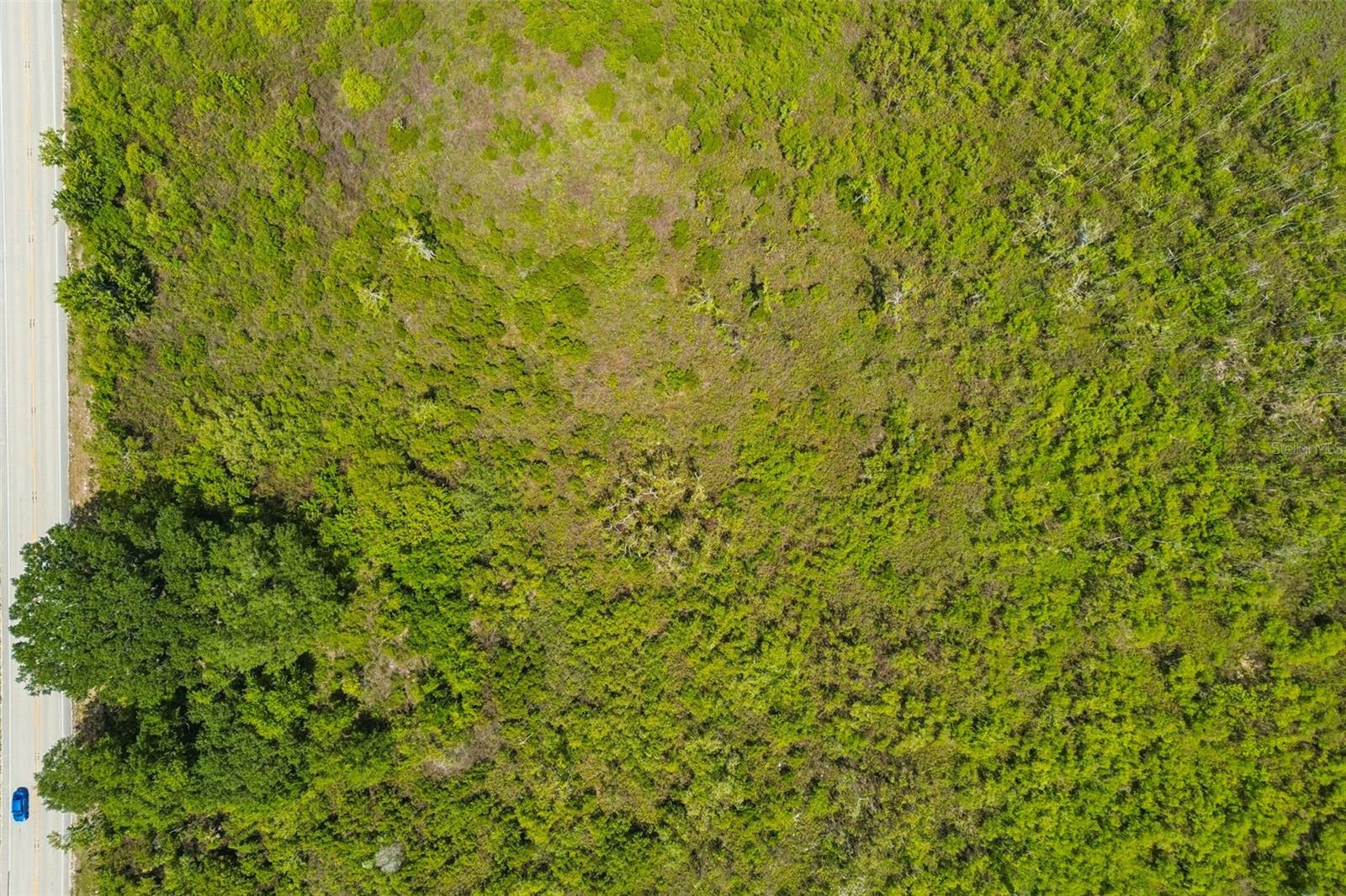 CR-559, AUBURNDALE, FL, 33823