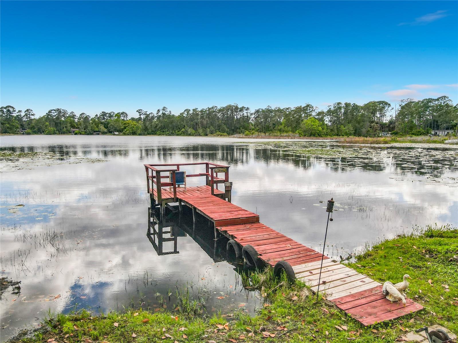 27912 LAKE AVE, PAISLEY, FL, 32767