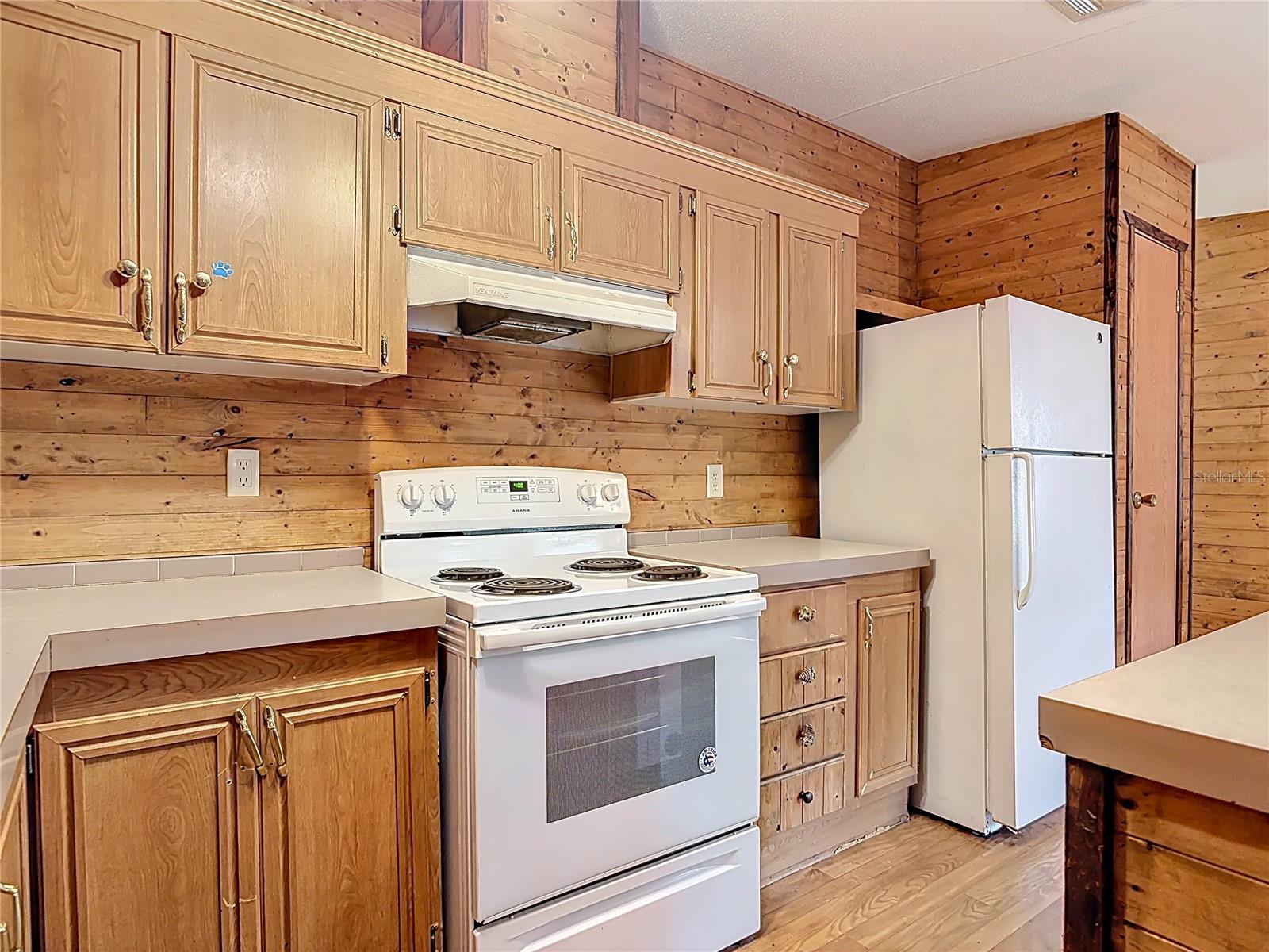 27912 LAKE AVE, PAISLEY, FL, 32767