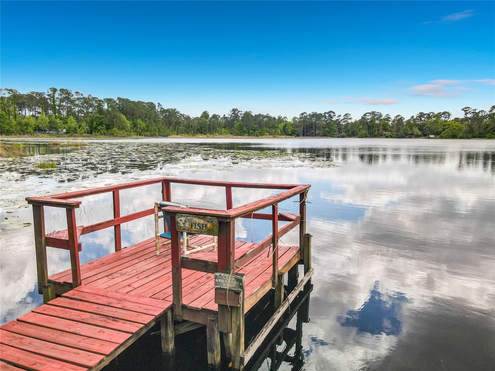 27912 LAKE AVE, PAISLEY, FL, 32767