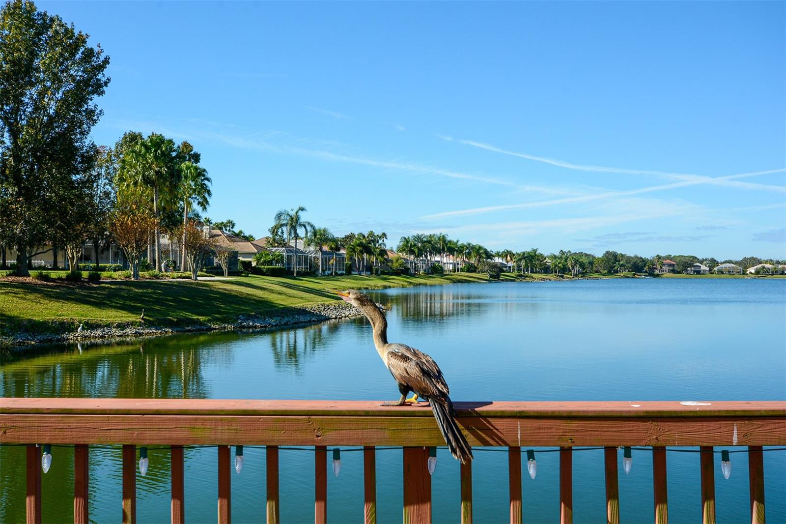 6716 SPRING MOSS PL, LAKEWOOD RANCH, FL, 34202