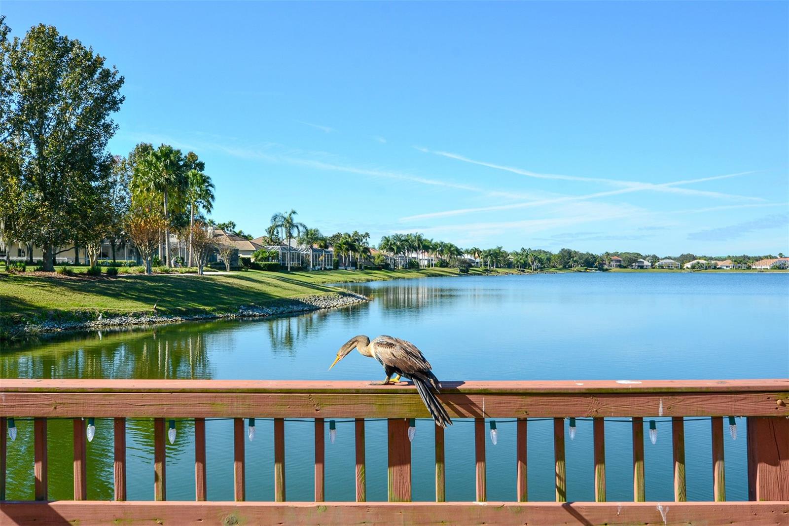 6716 SPRING MOSS PL, LAKEWOOD RANCH, FL, 34202