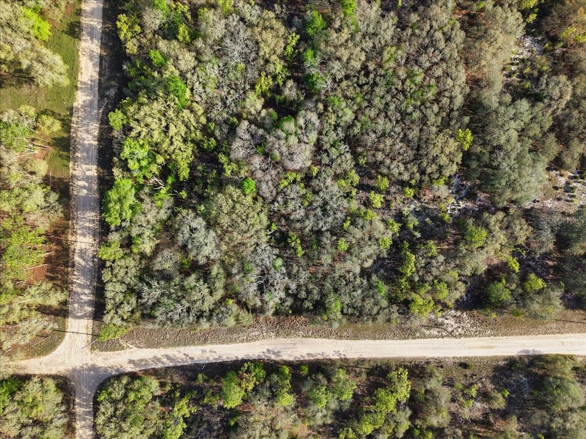 Lot 362 NE 82ND PL, BRONSON, FL, 32621