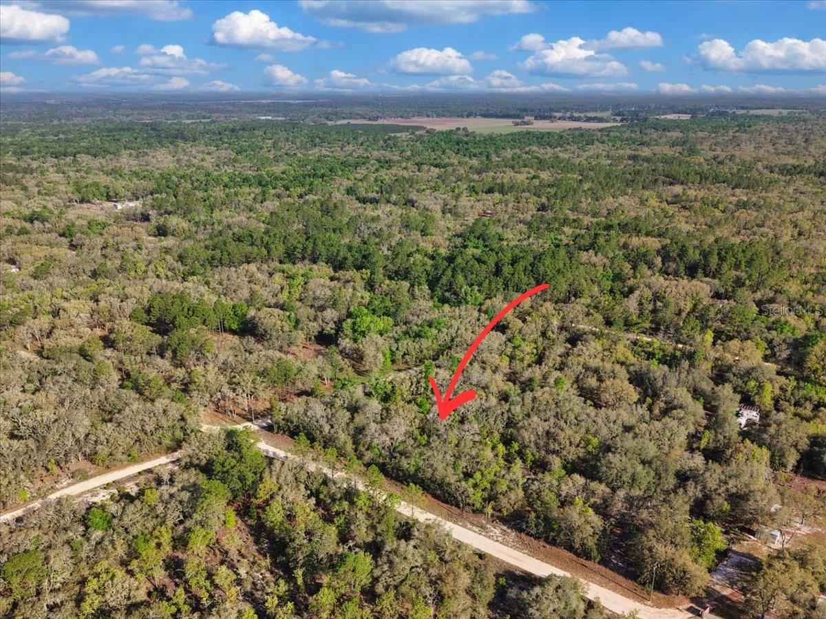 Lot 362 NE 82ND PL, BRONSON, FL, 32621