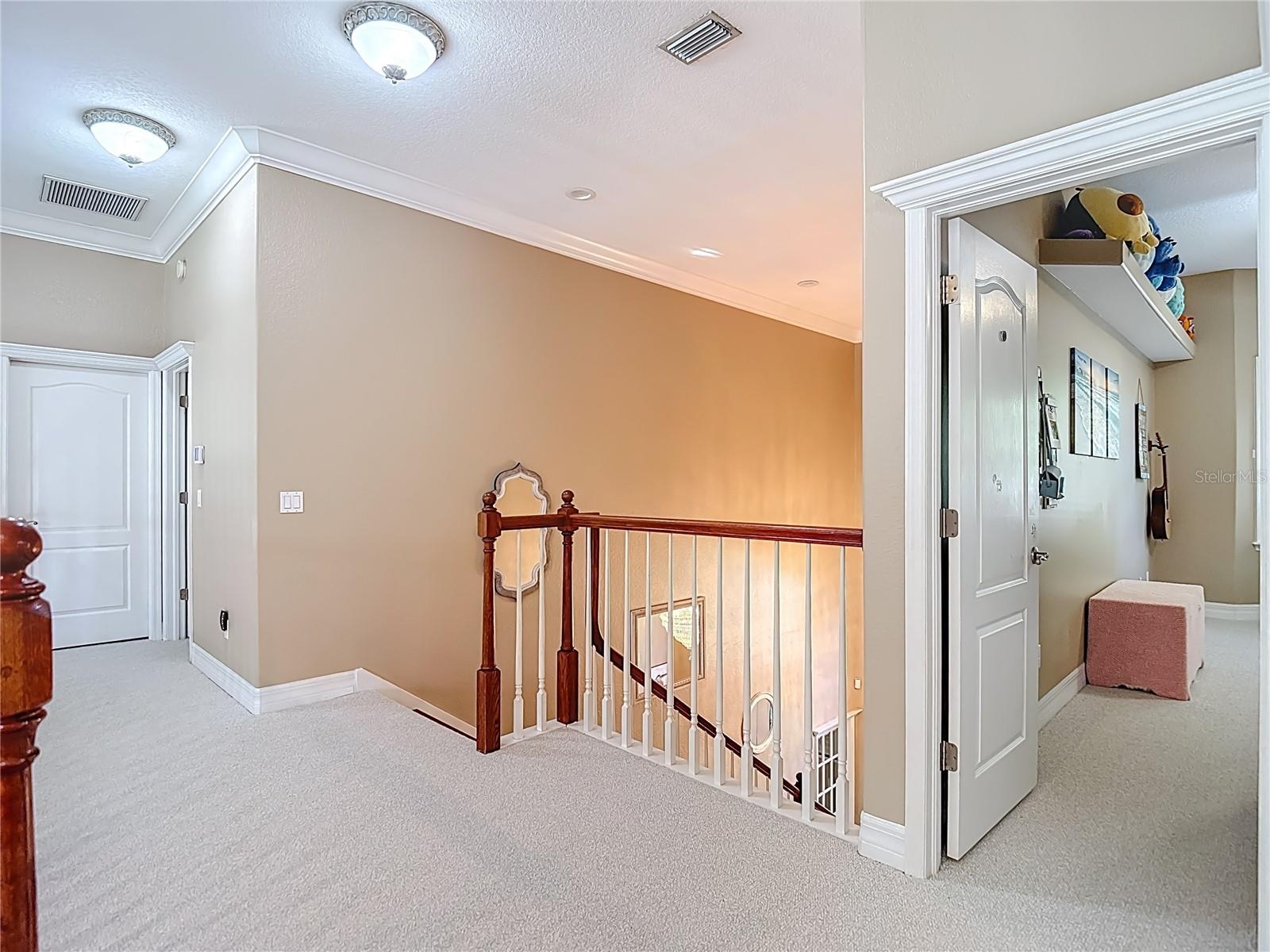 2425 VALRICO FOREST DR, VALRICO, FL, 33594