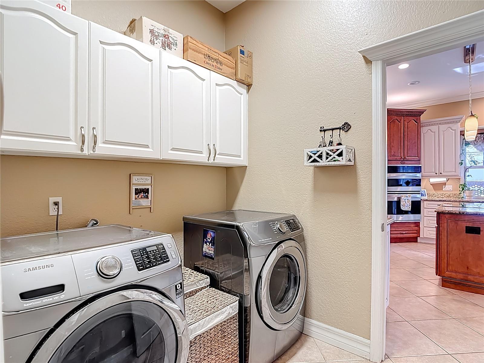 2425 VALRICO FOREST DR, VALRICO, FL, 33594