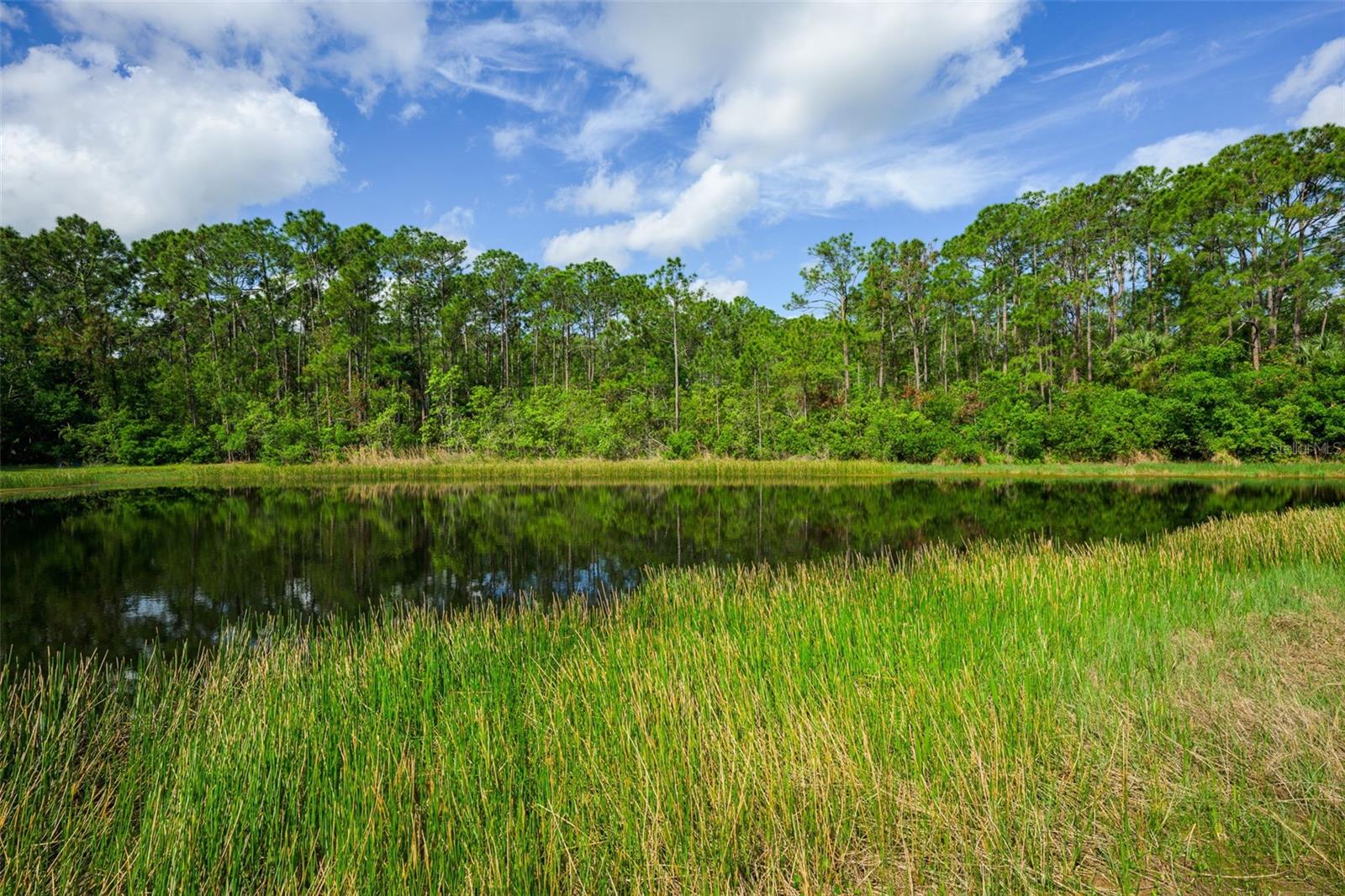 6282 PARADISE ISLAND CT, PORT ORANGE, FL, 32128