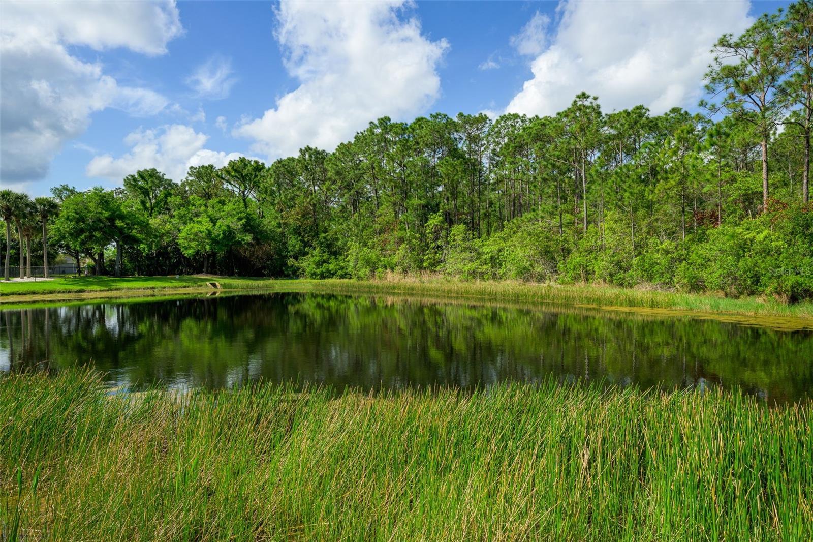 6282 PARADISE ISLAND CT, PORT ORANGE, FL, 32128