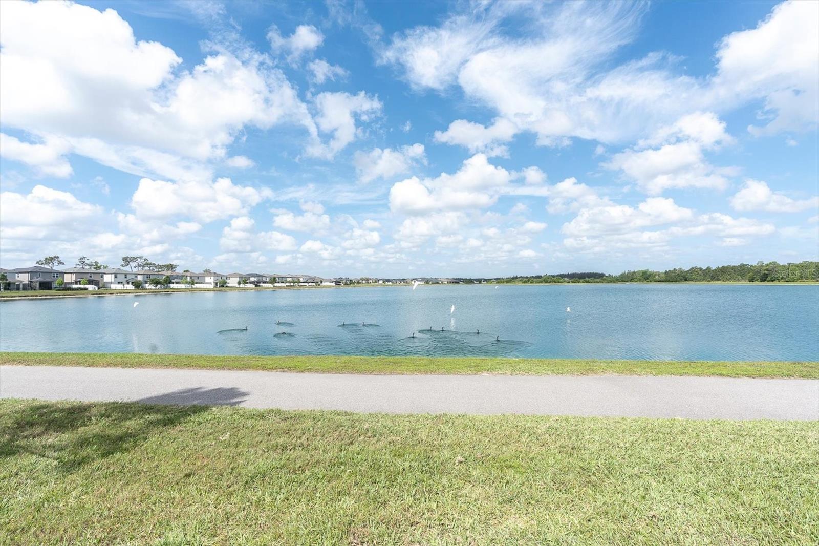 6353 TIMBERDALE AVE, WESLEY CHAPEL, FL, 33545