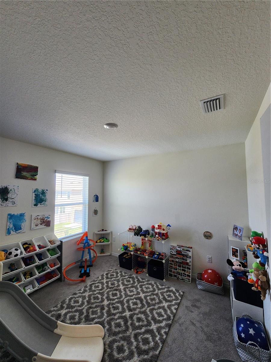 17033 OVAL RUM DR, WIMAUMA, FL, 33598