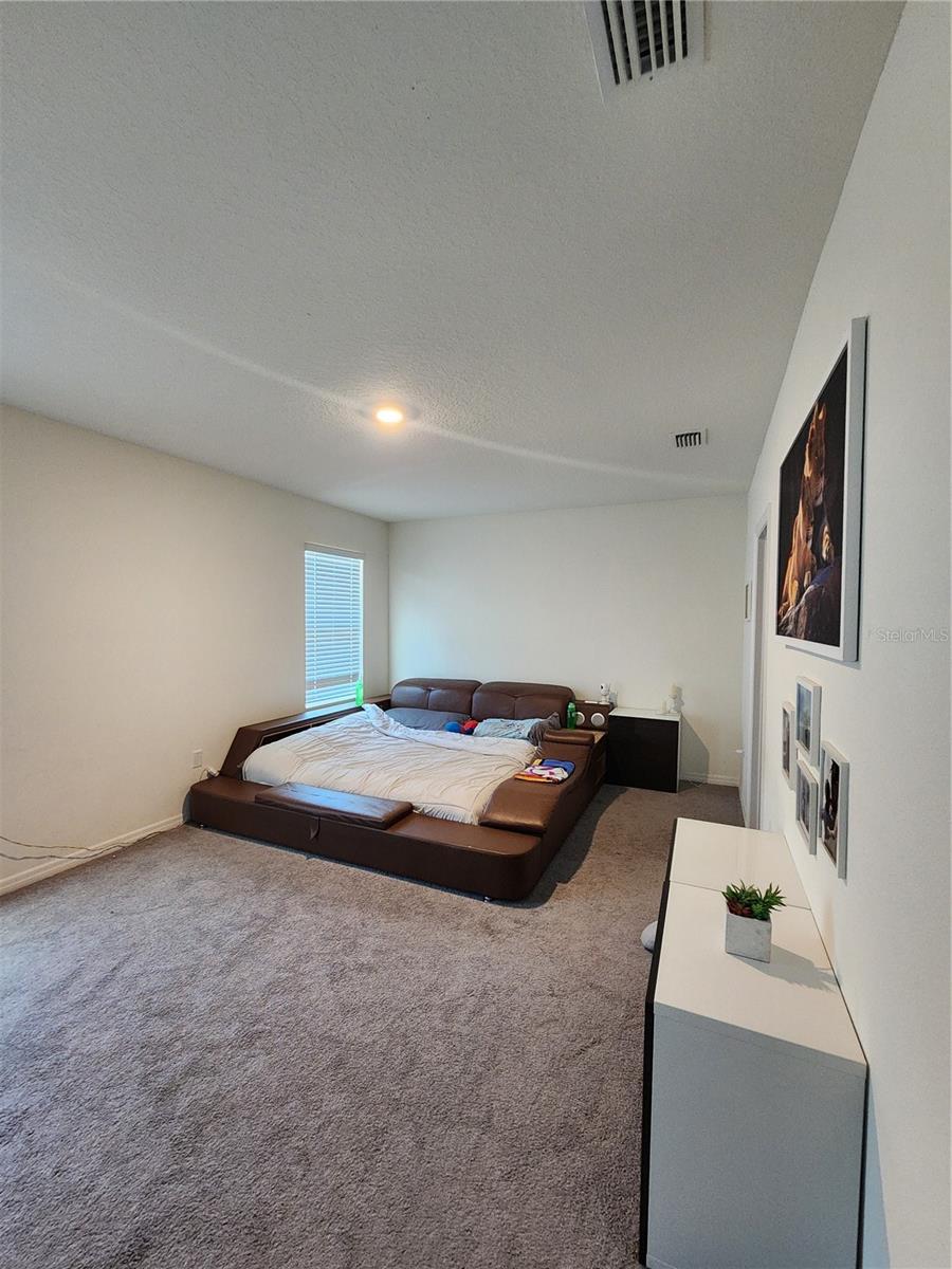 17033 OVAL RUM DR, WIMAUMA, FL, 33598