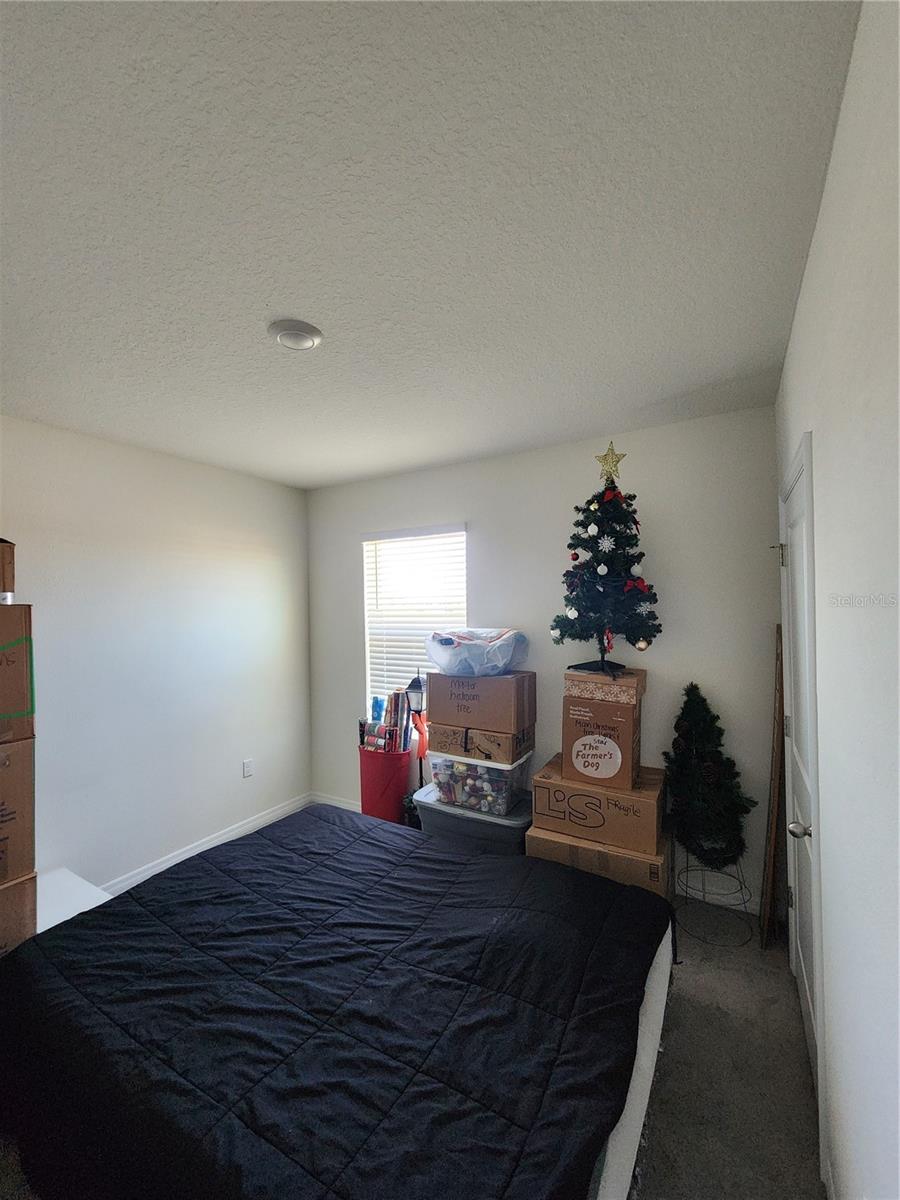 17033 OVAL RUM DR, WIMAUMA, FL, 33598