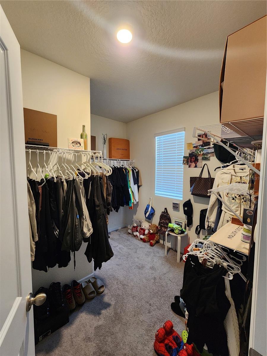 17033 OVAL RUM DR, WIMAUMA, FL, 33598