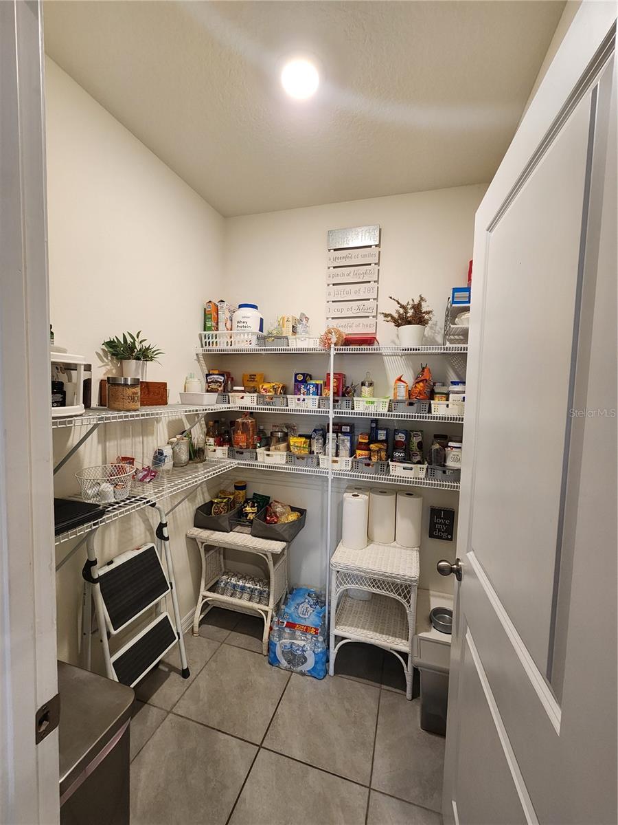 17033 OVAL RUM DR, WIMAUMA, FL, 33598