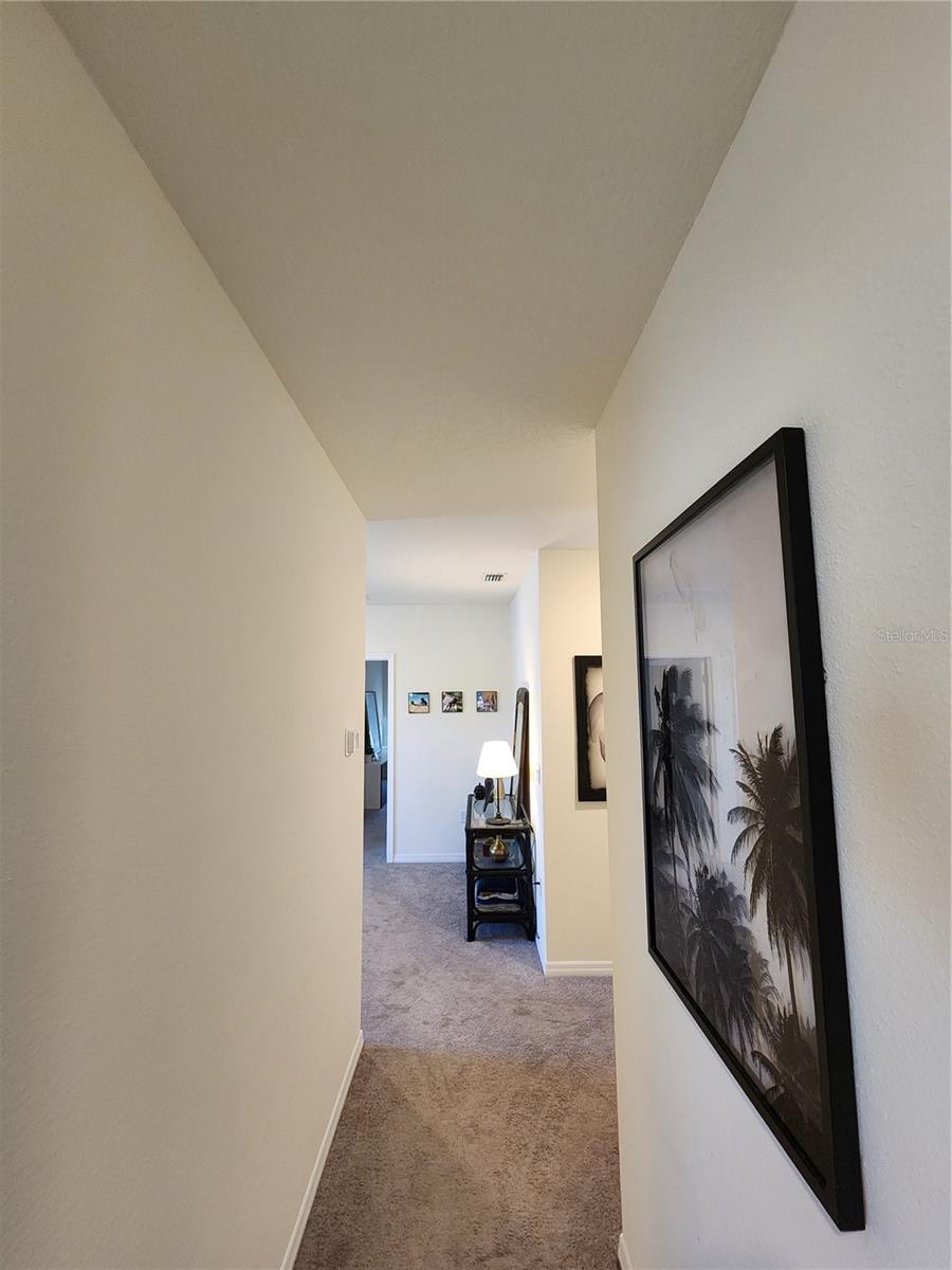 17033 OVAL RUM DR, WIMAUMA, FL, 33598