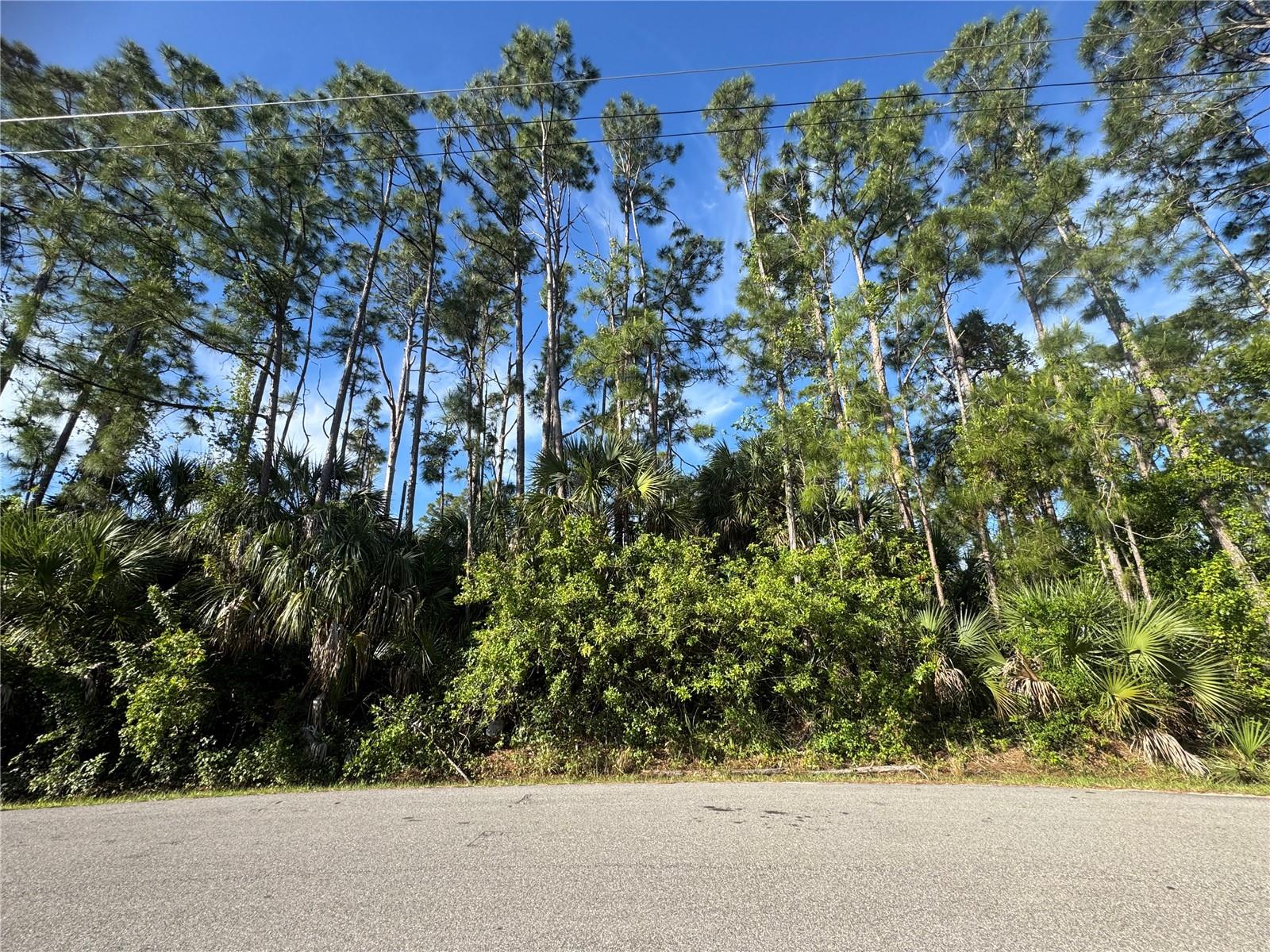 Lot 20 & 21 GAUCHO TER, NORTH PORT, FL, 34286