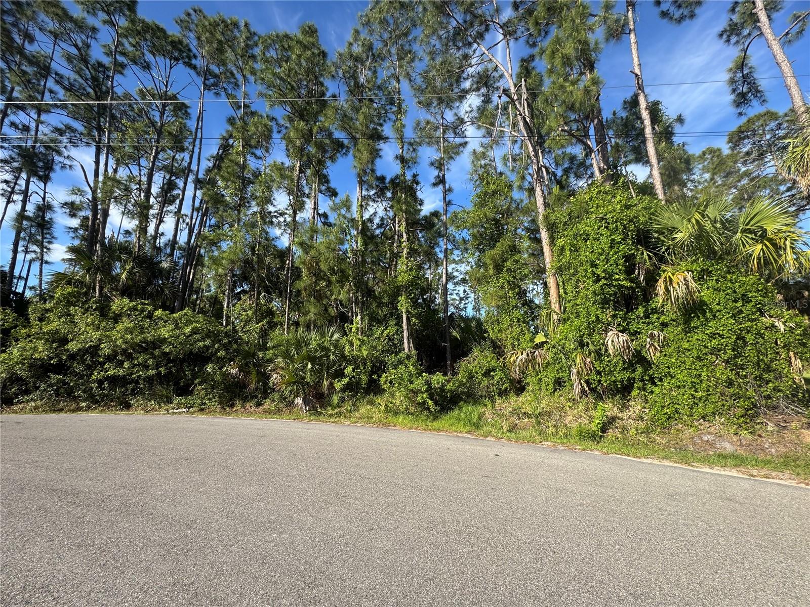 Lot 20 & 21 GAUCHO TER, NORTH PORT, FL, 34286