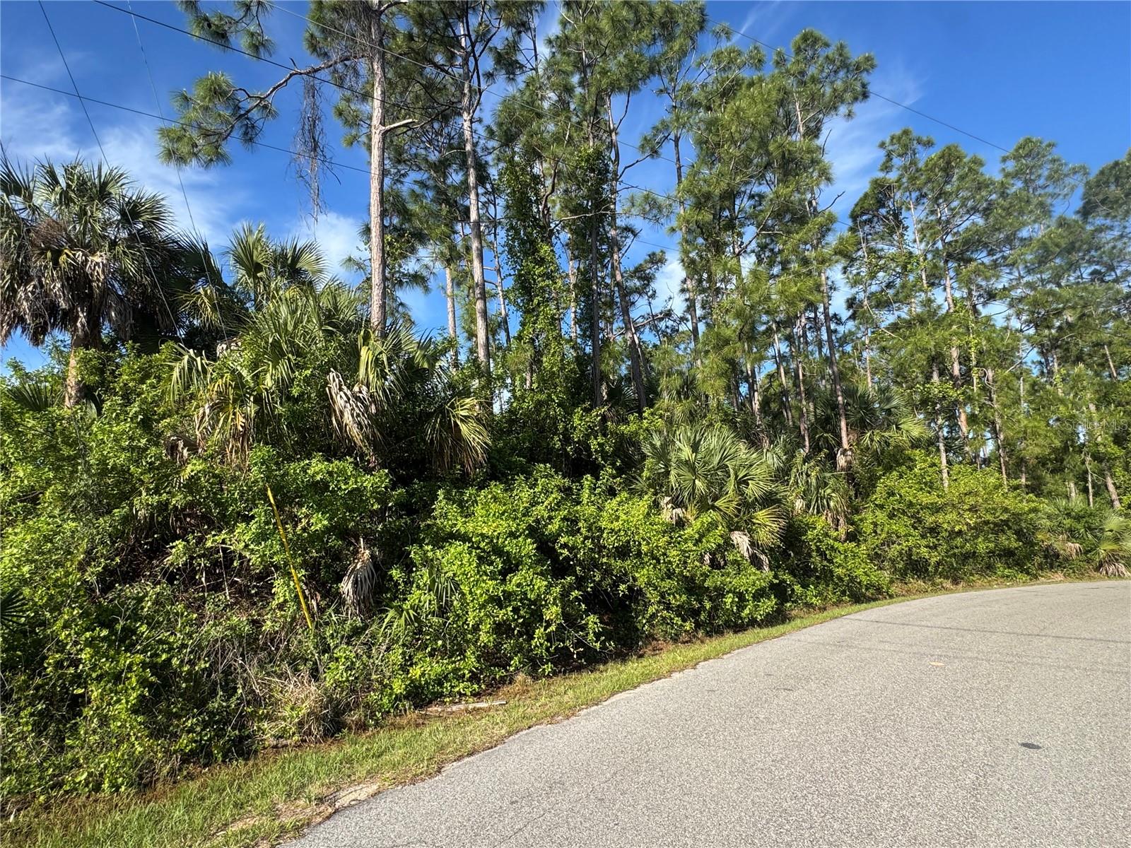 Lot 20 & 21 GAUCHO TER, NORTH PORT, FL, 34286