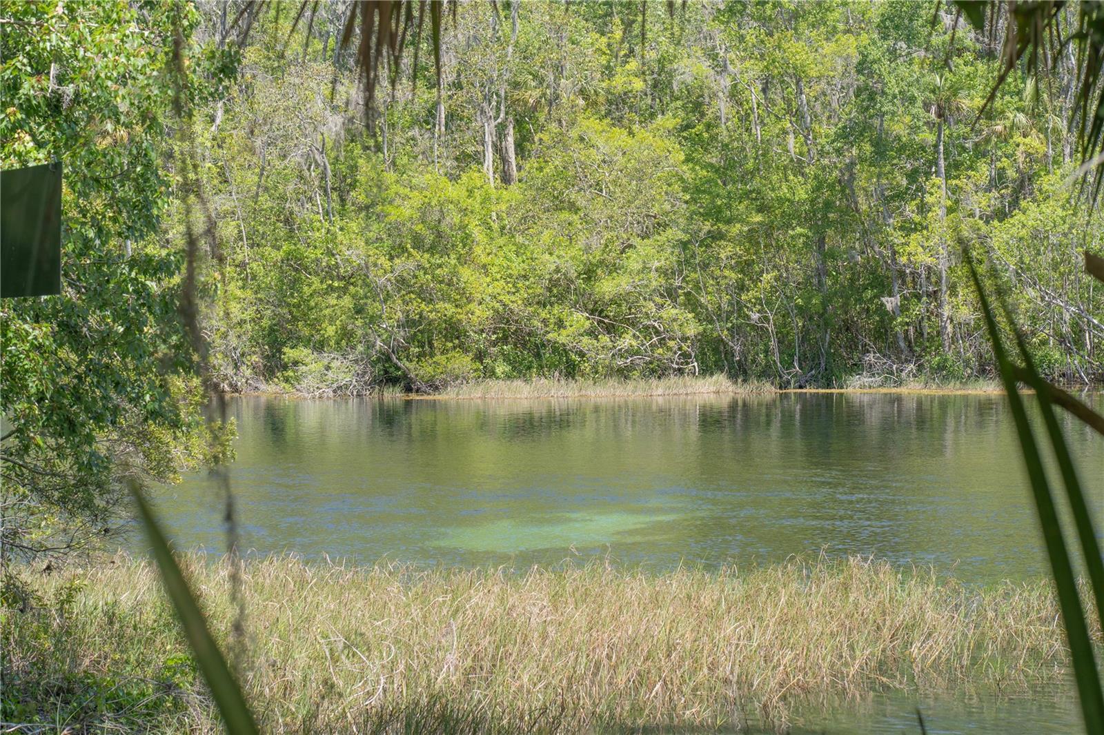 8873 SW 200TH CIR, DUNNELLON, FL, 34431