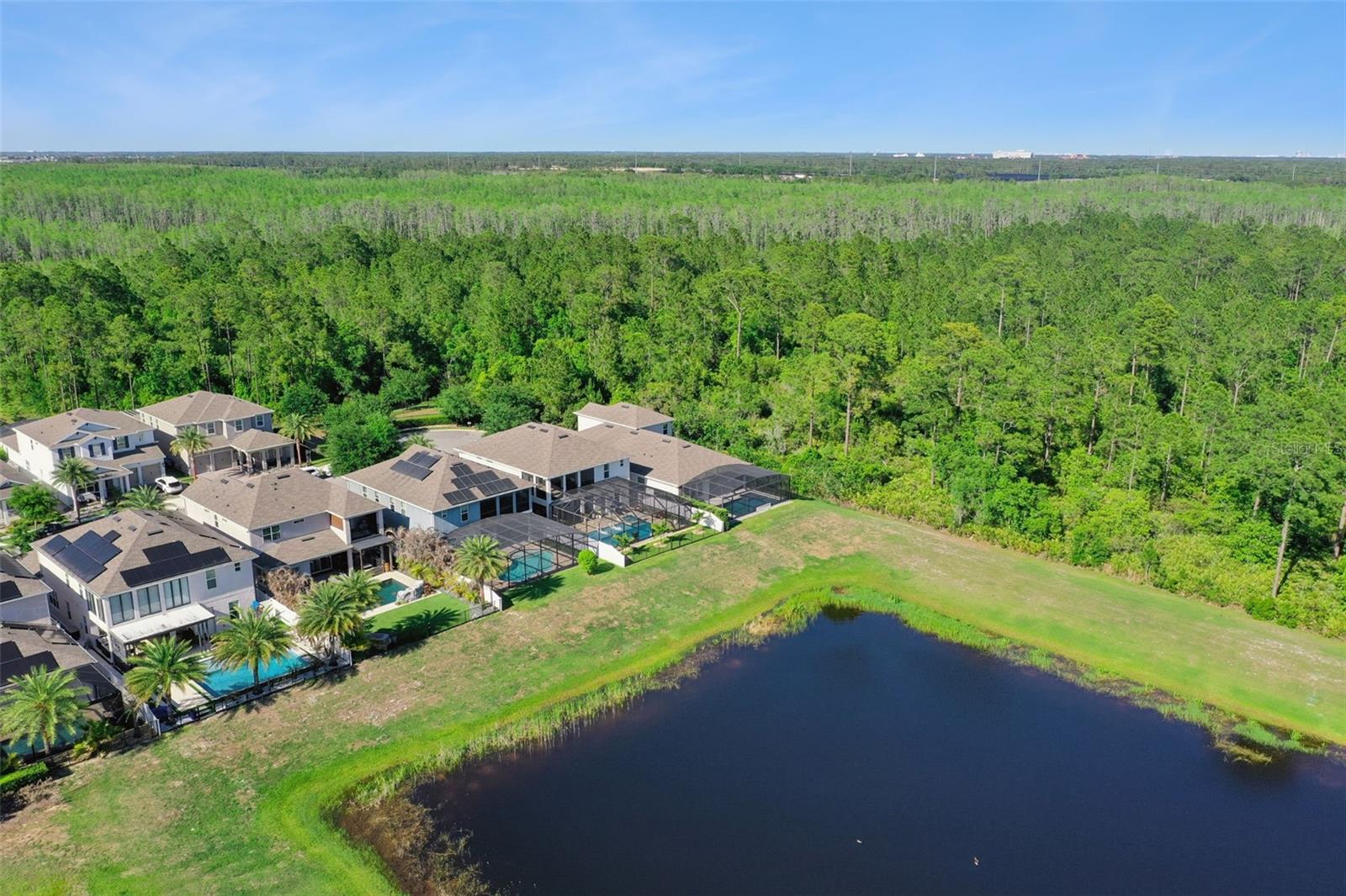 15306 GILLIGAN CT, WINTER GARDEN, FL, 34787