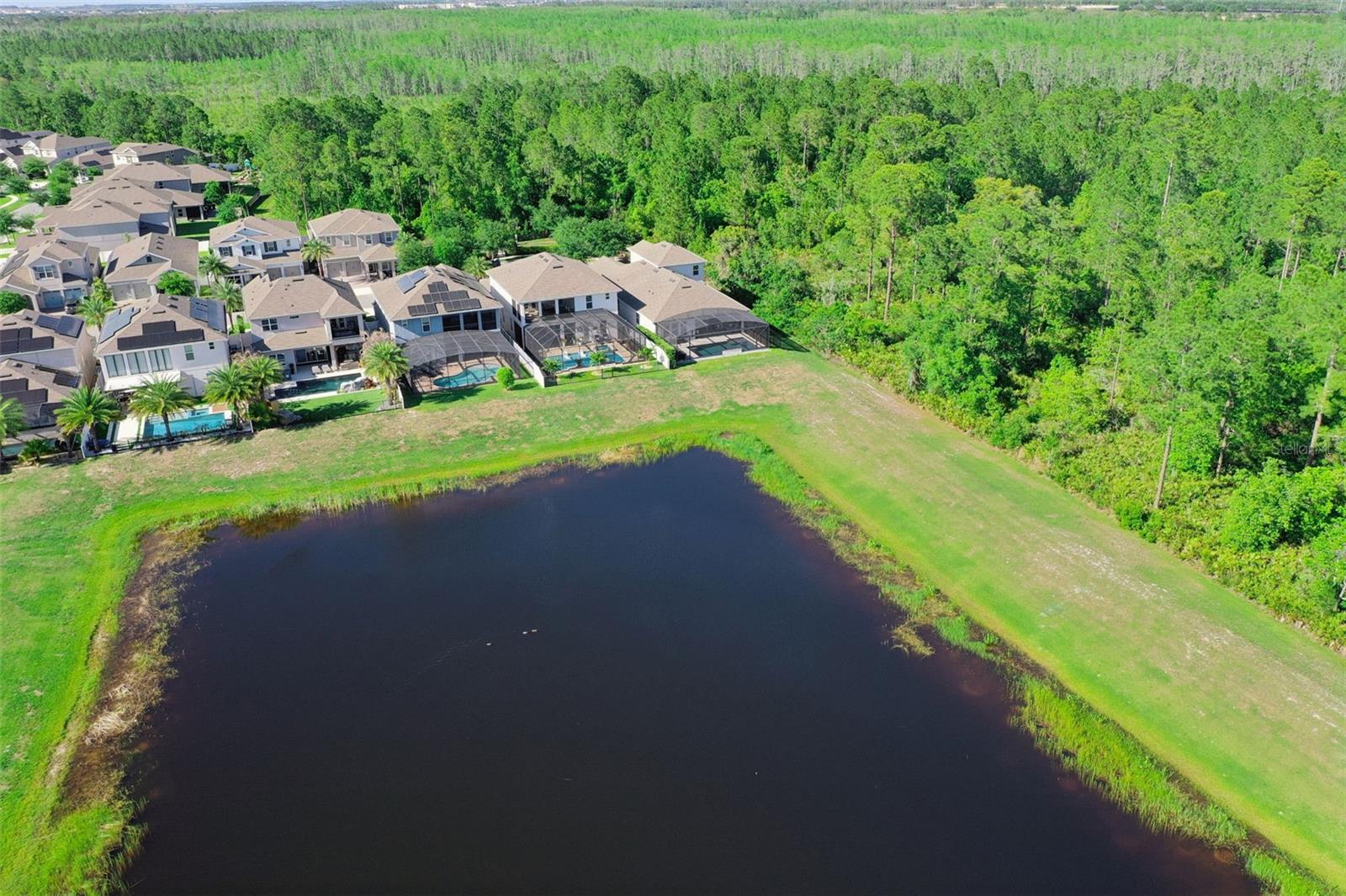 15306 GILLIGAN CT, WINTER GARDEN, FL, 34787