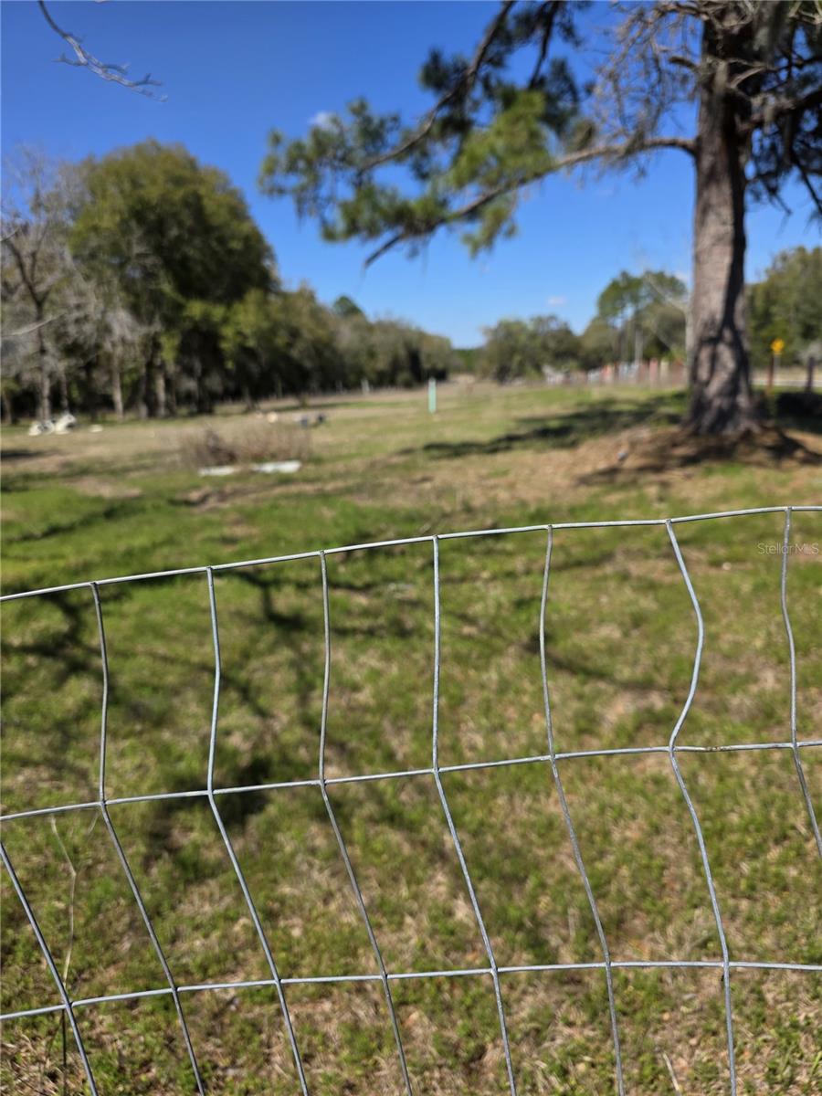 5950 NE HIGHWAY 41, WILLISTON, FL, 32696